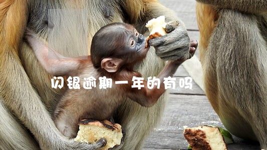 闪银逾期一年的有吗 闪银逾期一年的有吗