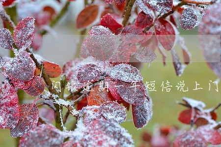 闪银逾期一年短信说上门 闪银逾期一年短信说上门
