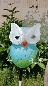 闪银逾期一年还能借吗 闪银逾期一年还能借吗