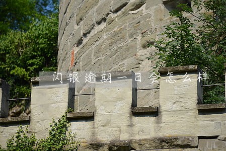 闪银逾期一日会怎么样