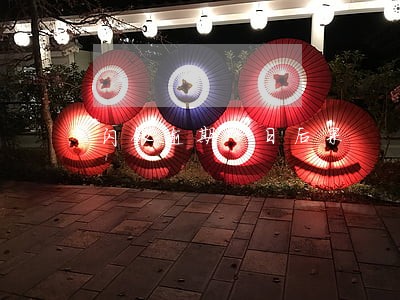 闪银逾期一日后果 闪银逾期一日后果