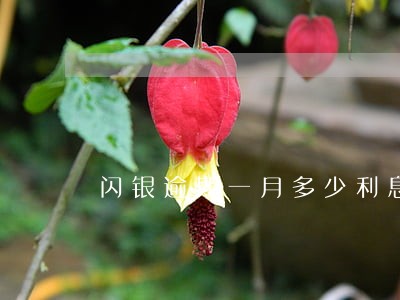 闪银逾期一月多少利息 闪银逾期一月多少利息