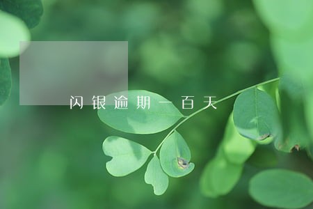 闪银逾期一百天 闪银逾期一百天