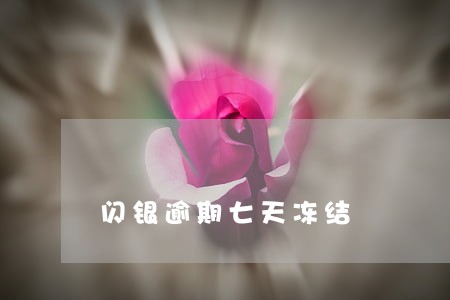 闪银逾期七天冻结 闪银逾期七天冻结