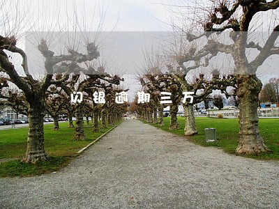 闪银逾期三万 闪银逾期三万
