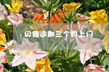闪银逾期三个月上门 闪银逾期三个月上门