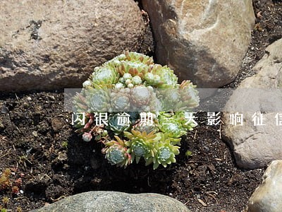 闪银逾期三天影响征信吗 闪银逾期三天影响征信吗