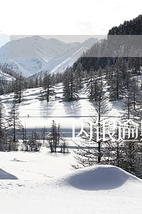 闪银逾期三天能借款吗 闪银逾期三天能借款吗