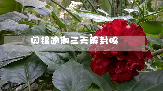 闪银逾期三天解封吗 闪银逾期三天解封吗