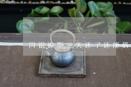 闪银逾期三天还了还能借吗 闪银逾期三天还了还能借吗