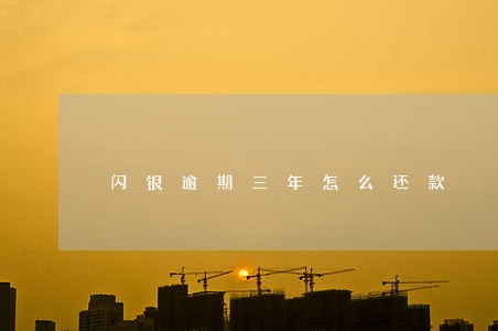 闪银逾期三年怎么还款 闪银逾期三年怎么还款