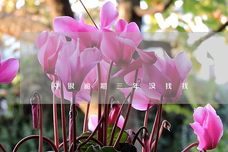 闪银逾期三年没找我