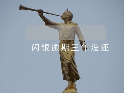 闪银逾期三年没还 闪银逾期三年没还