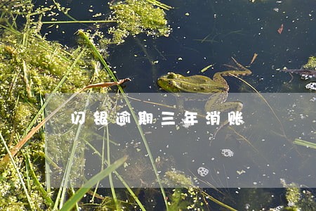 闪银逾期三年消账 闪银逾期三年消账