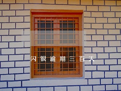 闪银逾期三百天 闪银逾期三百天