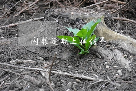 闪银逾期上征信不 闪银逾期上征信不