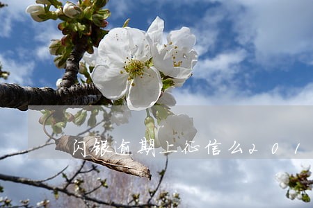 闪银逾期上征信么2019 闪银逾期上征信么2019