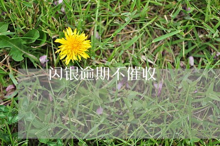 闪银逾期不催收 闪银逾期不催收