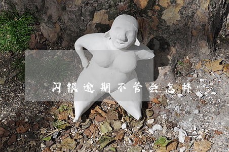 闪银逾期不管会怎样 闪银逾期不管会怎样