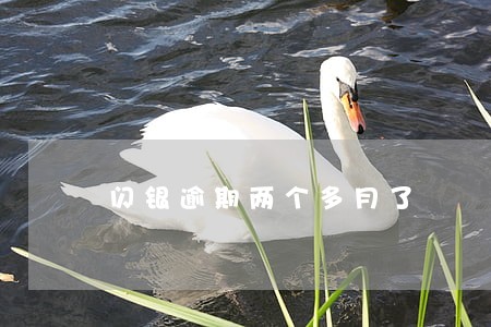 闪银逾期两个多月了 闪银逾期两个多月了