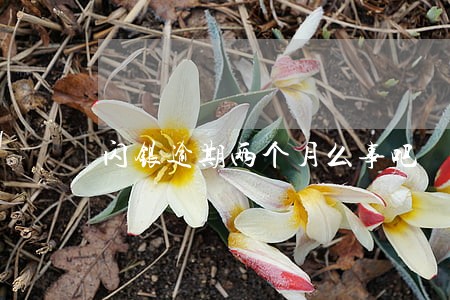 闪银逾期两个月么事吧 闪银逾期两个月么事吧