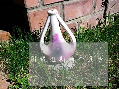 闪银逾期两个月会上门吗 闪银逾期两个月会上门吗
