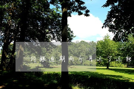 闪银逾期两个月还了还能借吗 闪银逾期两个月还了还能借吗