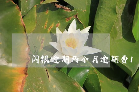 闪银逾期两个月逾期费1000 闪银逾期两个月逾期费1000
