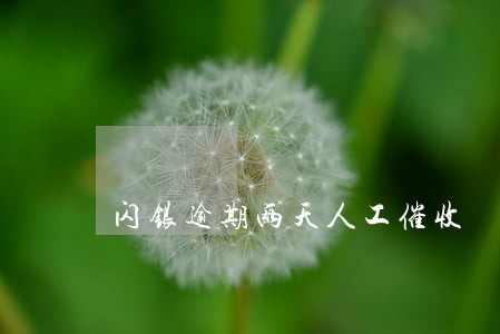 闪银逾期两天人工催收 闪银逾期两天人工催收