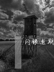 闪银逾期两天会怎么样 闪银逾期两天会怎么样