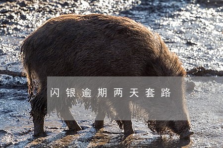 闪银逾期两天套路 闪银逾期两天套路
