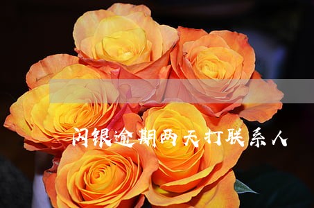 闪银逾期两天打联系人 闪银逾期两天打联系人