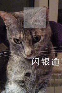 闪银逾期两天有影响么 闪银逾期两天有影响么
