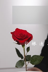 闪银逾期两天涨多少钱 闪银逾期两天涨多少钱