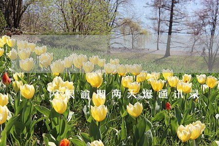 闪银逾期两天爆通讯录 闪银逾期两天爆通讯录