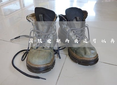 闪银逾期两天还可以再借 闪银逾期两天还可以再借