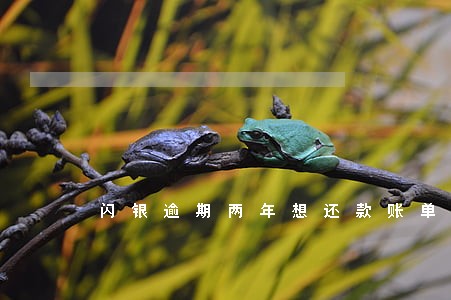 闪银逾期两年想还款账单没了 闪银逾期两年想还款账单没了