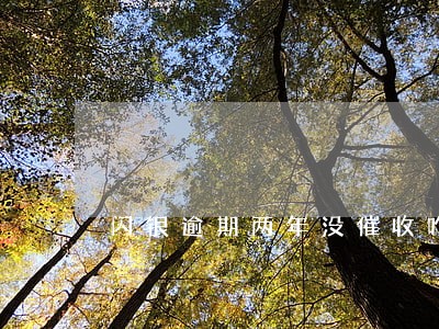 闪银逾期两年没催收咋回事 闪银逾期两年没催收咋回事