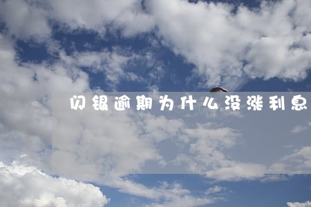 闪银逾期为什么没涨利息 闪银逾期为什么没涨利息