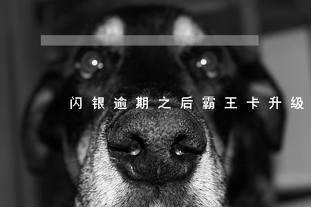闪银逾期之后霸王卡升级中 闪银逾期之后霸王卡升级中