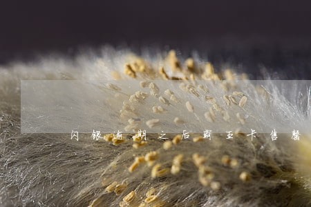 闪银逾期之后霸王卡售罄 闪银逾期之后霸王卡售罄