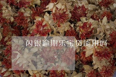 闪银逾期乐宝贷能用吗 闪银逾期乐宝贷能用吗