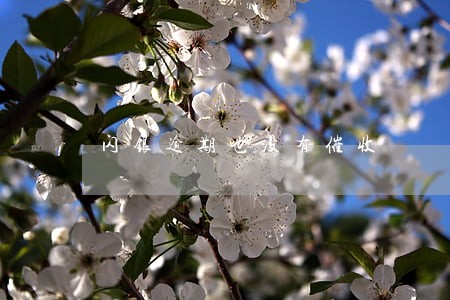 闪银逾期也没有催收 闪银逾期也没有催收