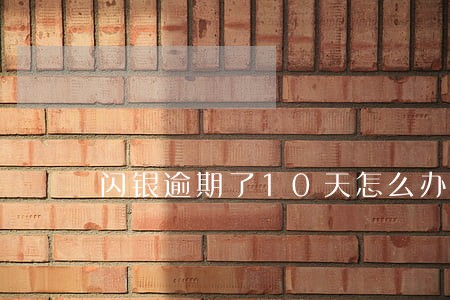 闪银逾期了10天怎么办 闪银逾期了10天怎么办