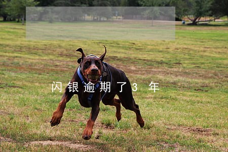 闪银逾期了3年 闪银逾期了3年