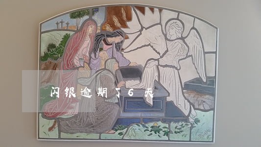 闪银逾期了6天