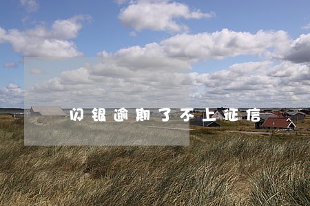 闪银逾期了不上征信 闪银逾期了不上征信