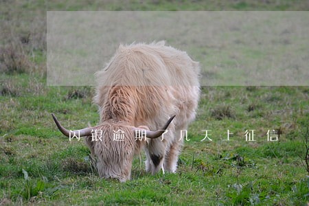 闪银逾期了几天上征信 闪银逾期了几天上征信
