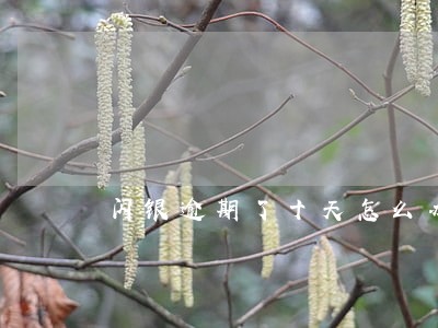 闪银逾期了十天怎么办 闪银逾期了十天怎么办