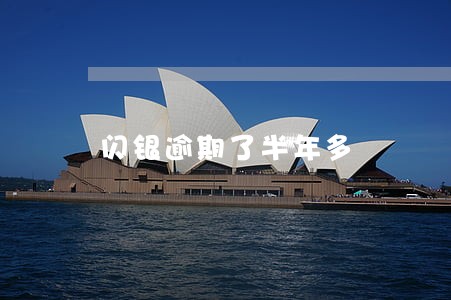 闪银逾期了半年多 闪银逾期了半年多